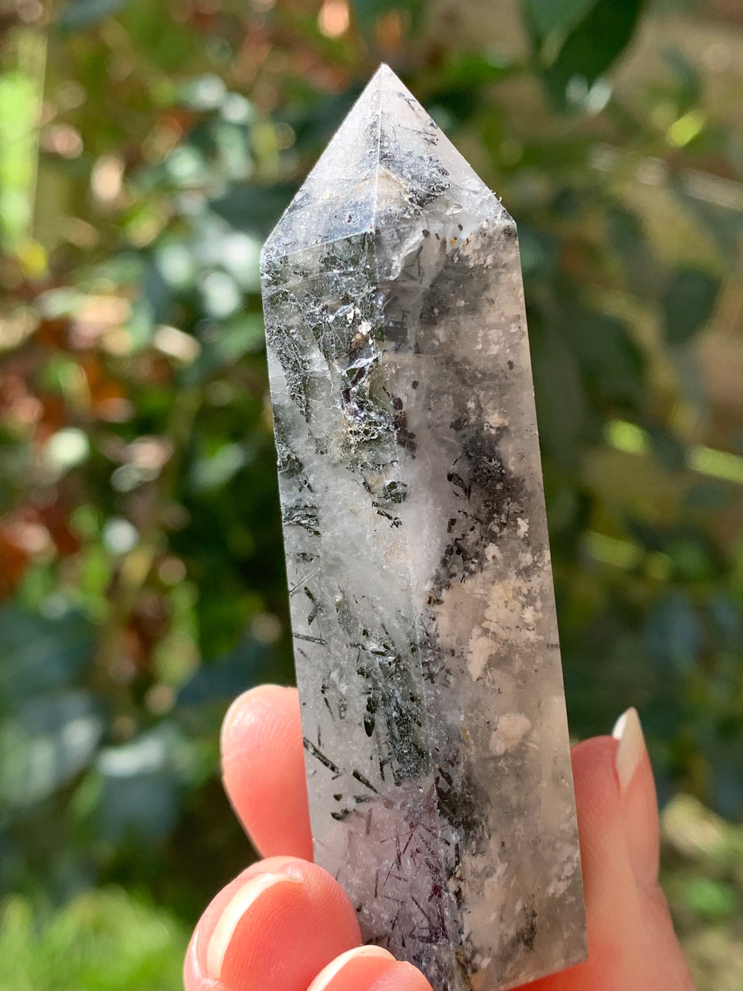 Tour quartz tourmaline