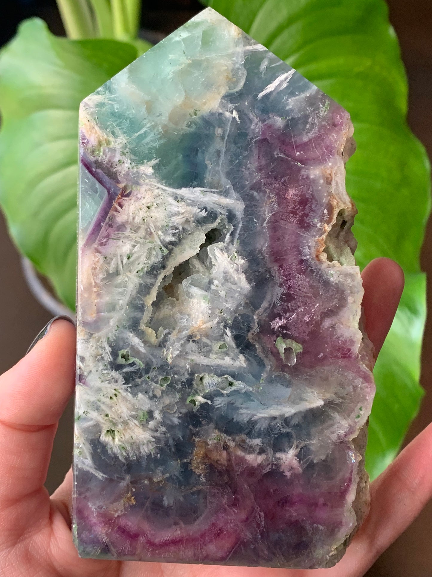 Plaque fluorite plume