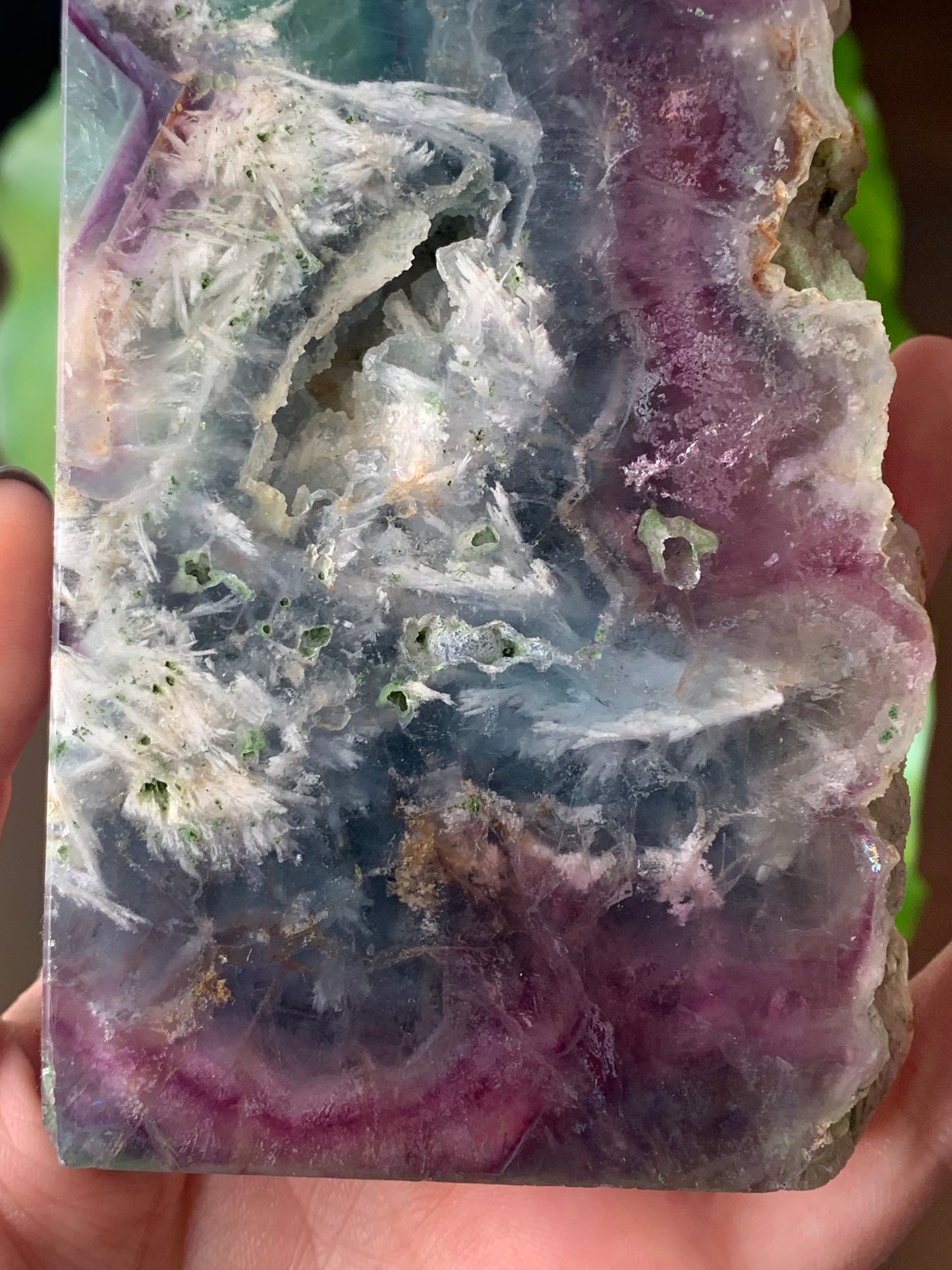 Plaque fluorite plume