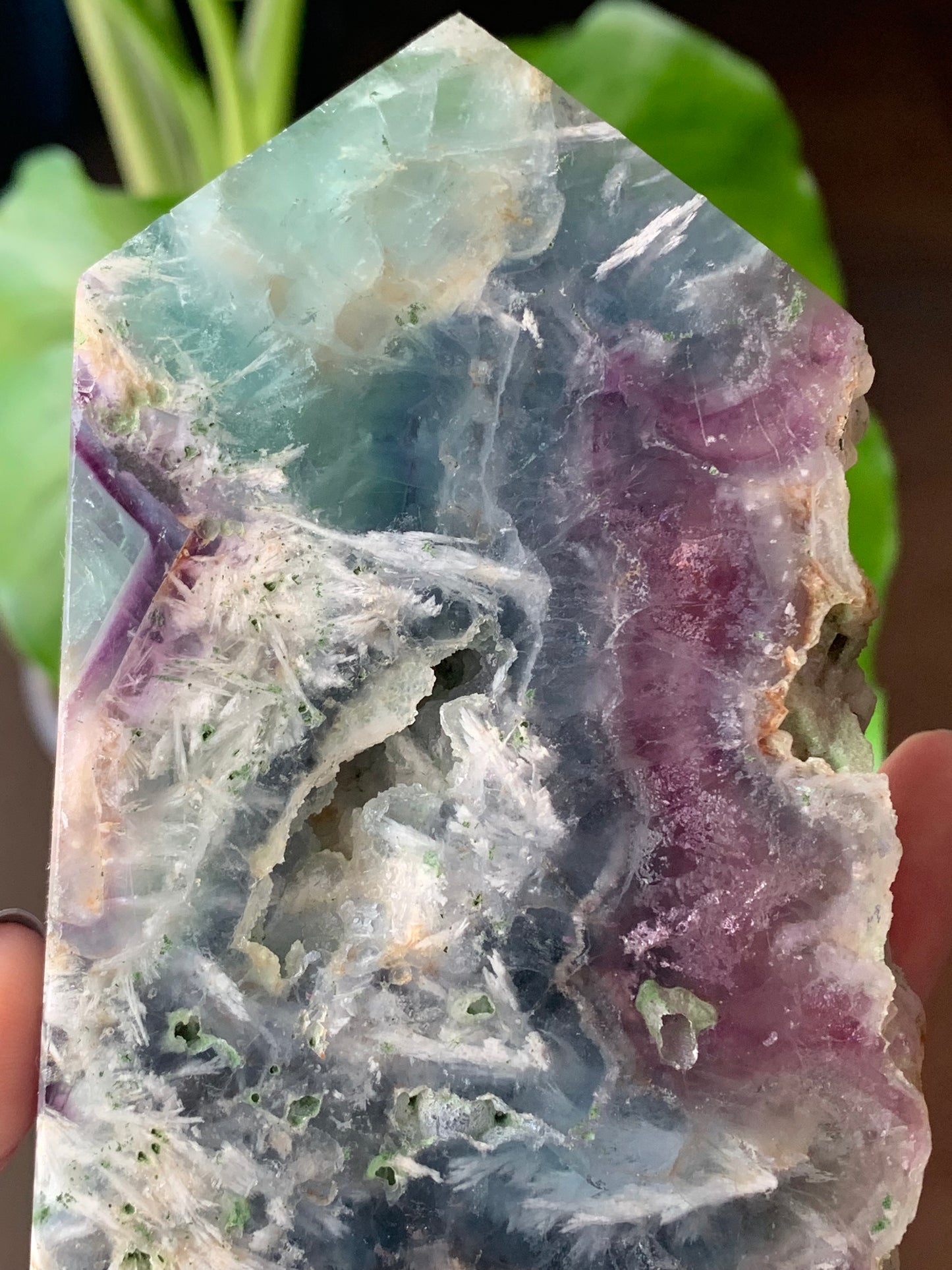 Plaque fluorite plume