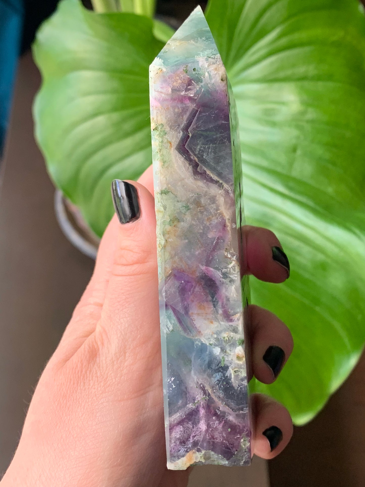 Plaque fluorite plume