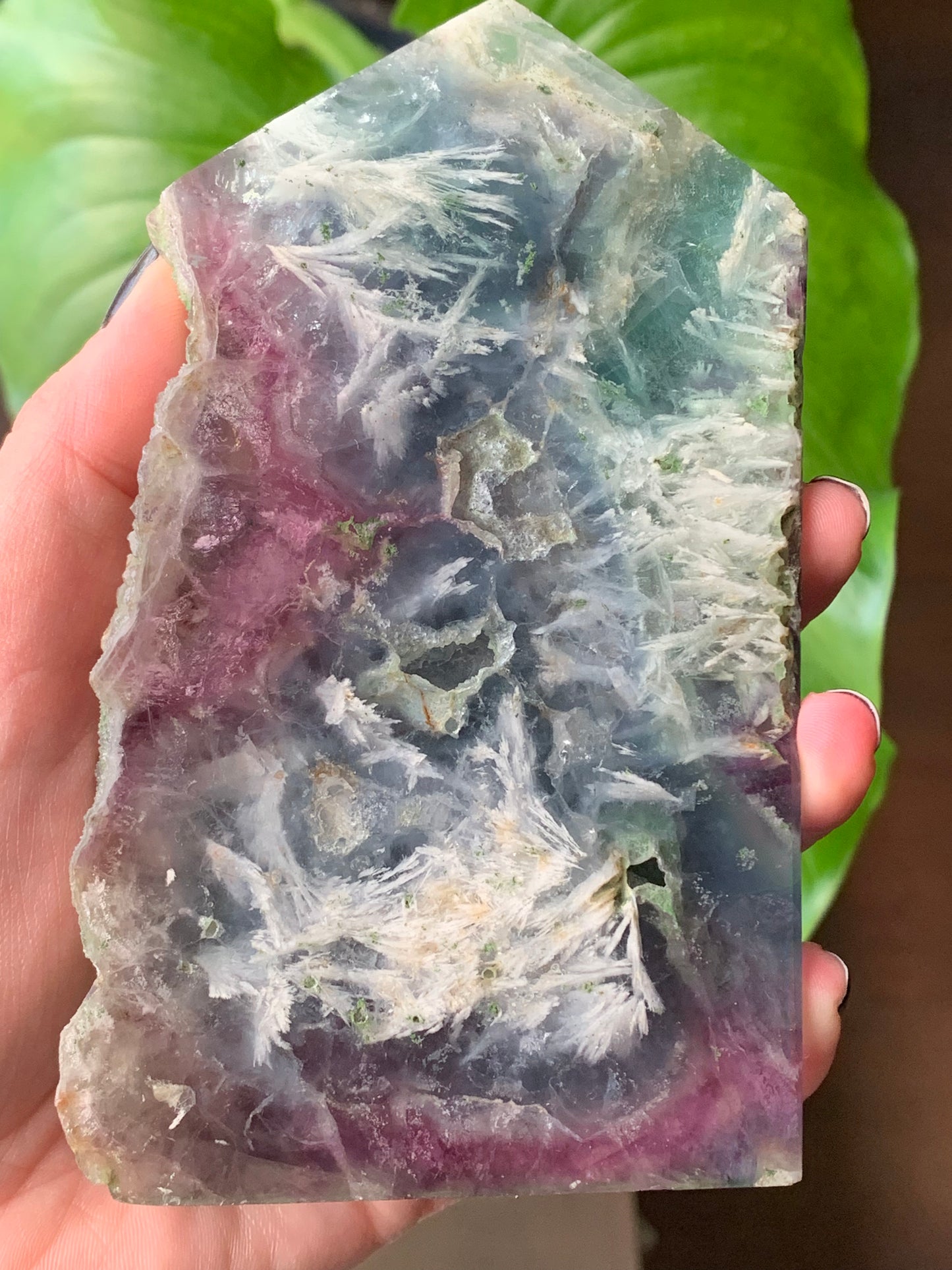 Plaque fluorite plume