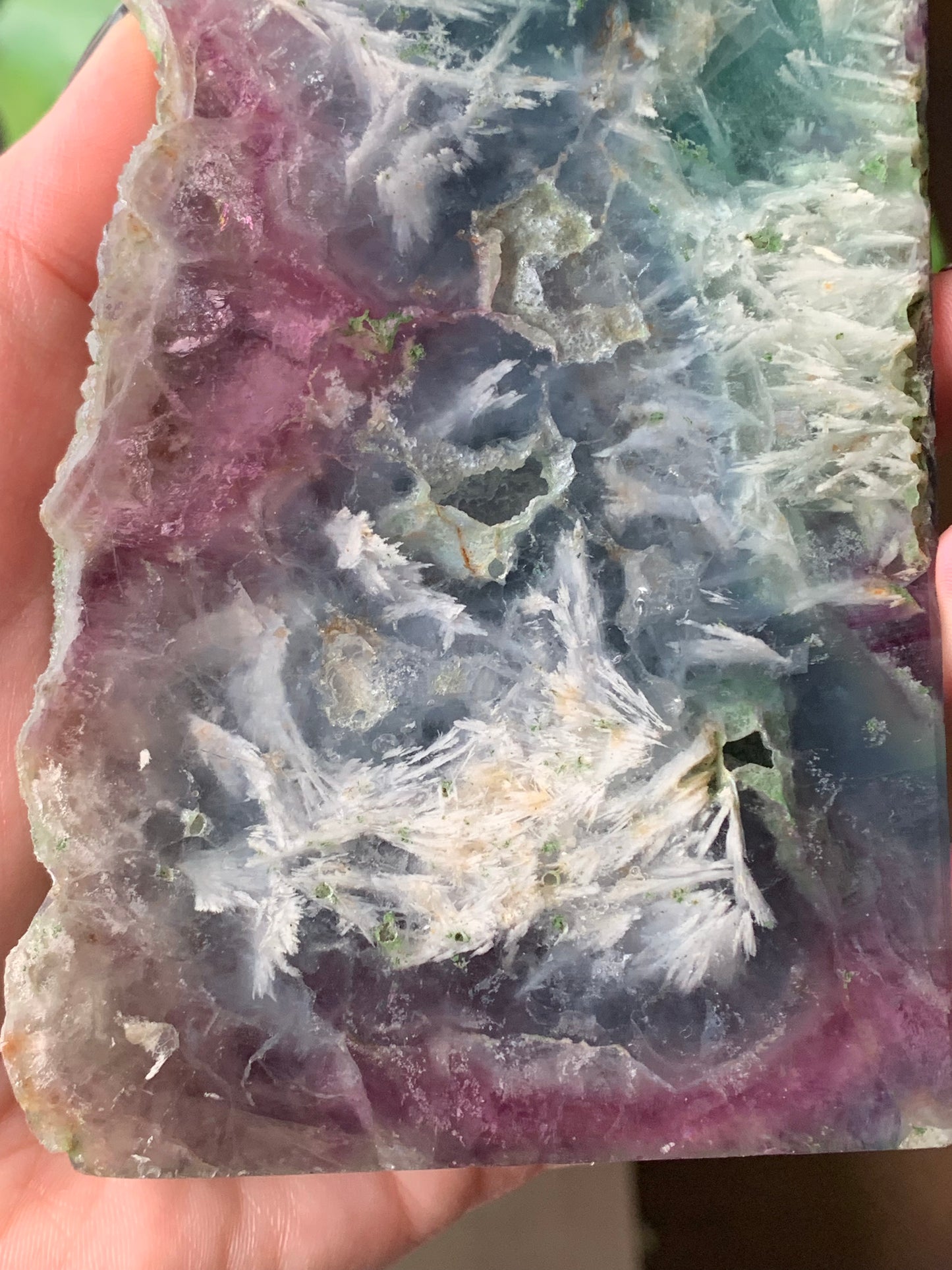 Plaque fluorite plume