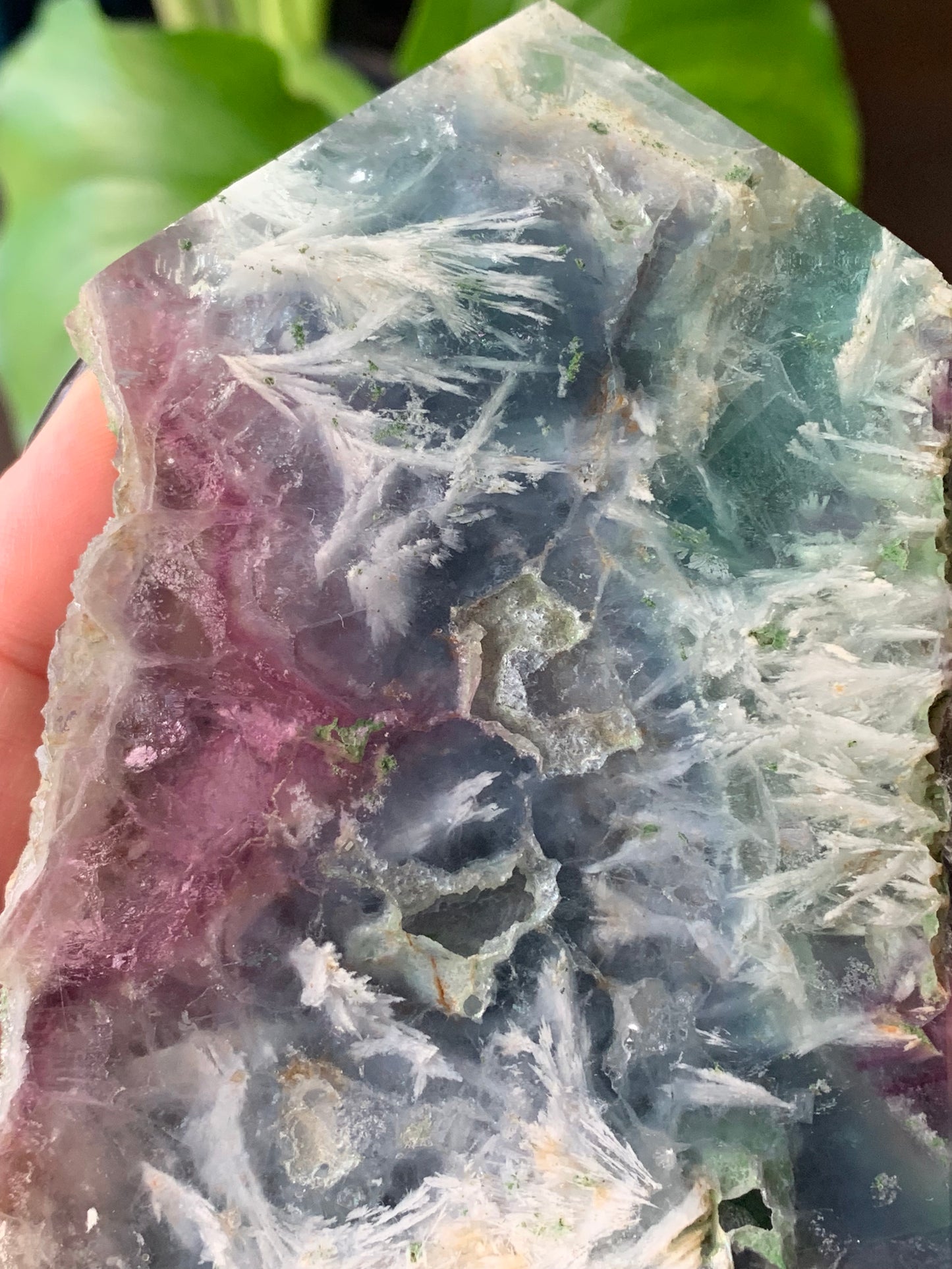 Plaque fluorite plume