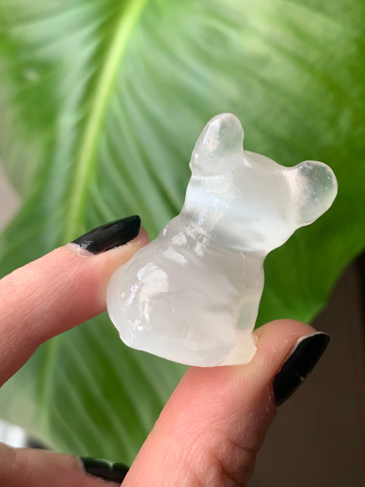 Bouledogue français selenite