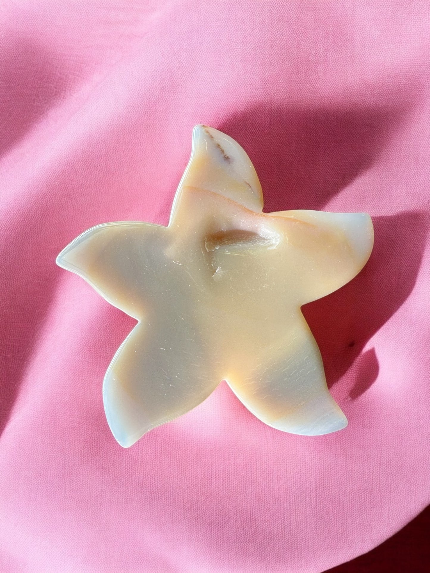 Étoile de mer agate