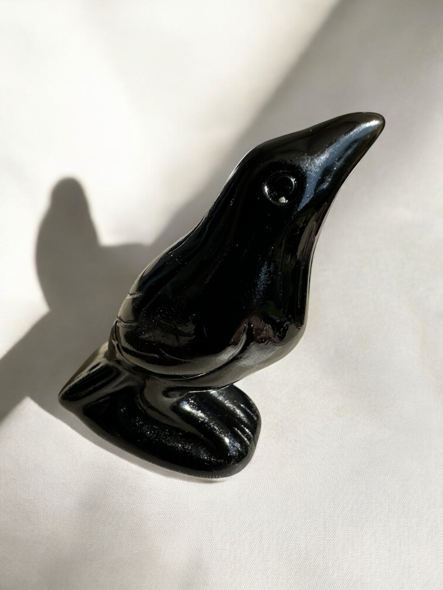 Corbeau obsidienne noire