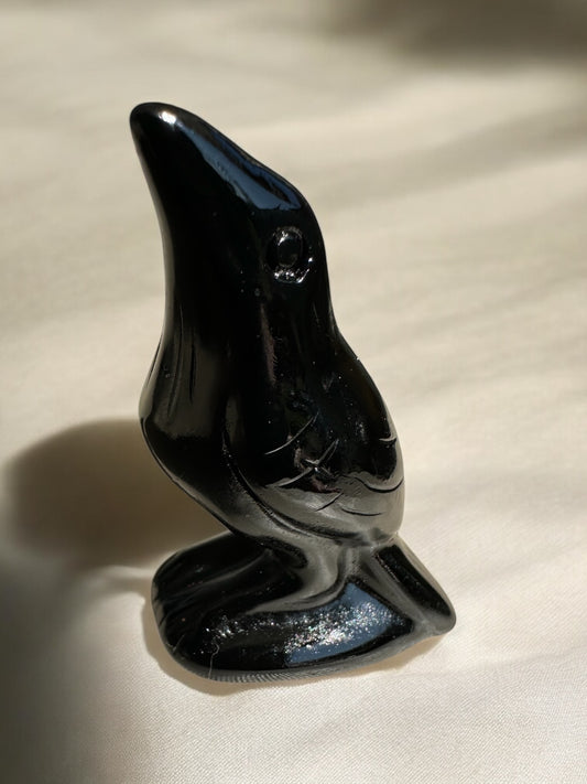 Corbeau obsidienne noire