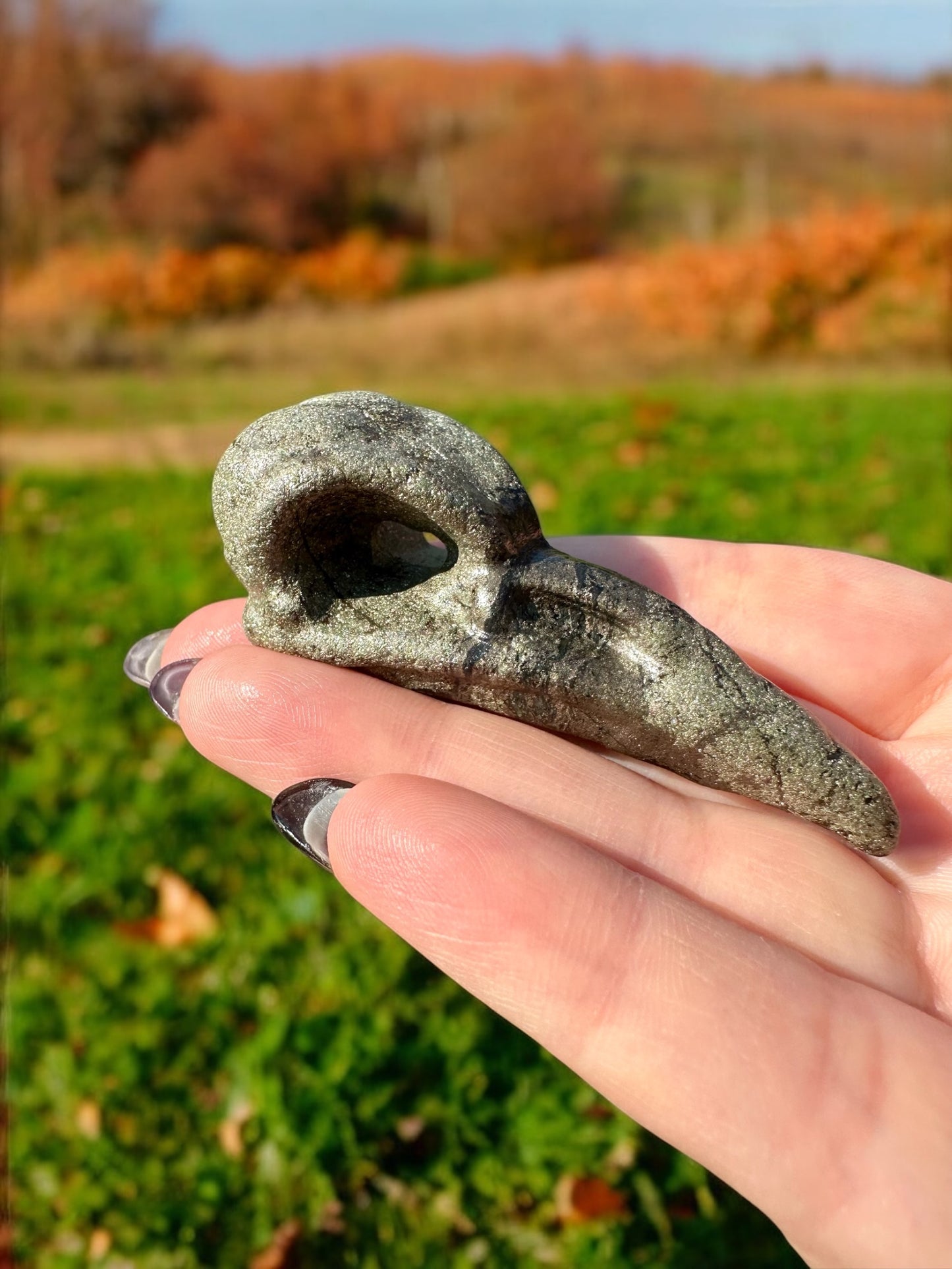 Crâne corbeau pyrite