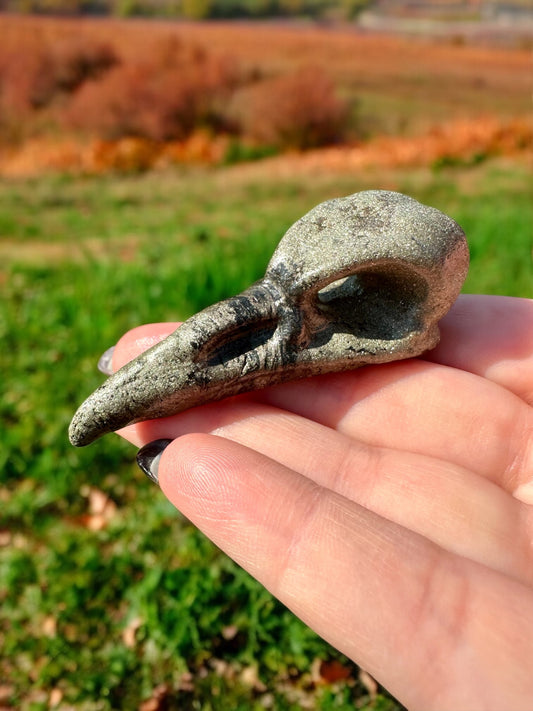 Crâne corbeau pyrite