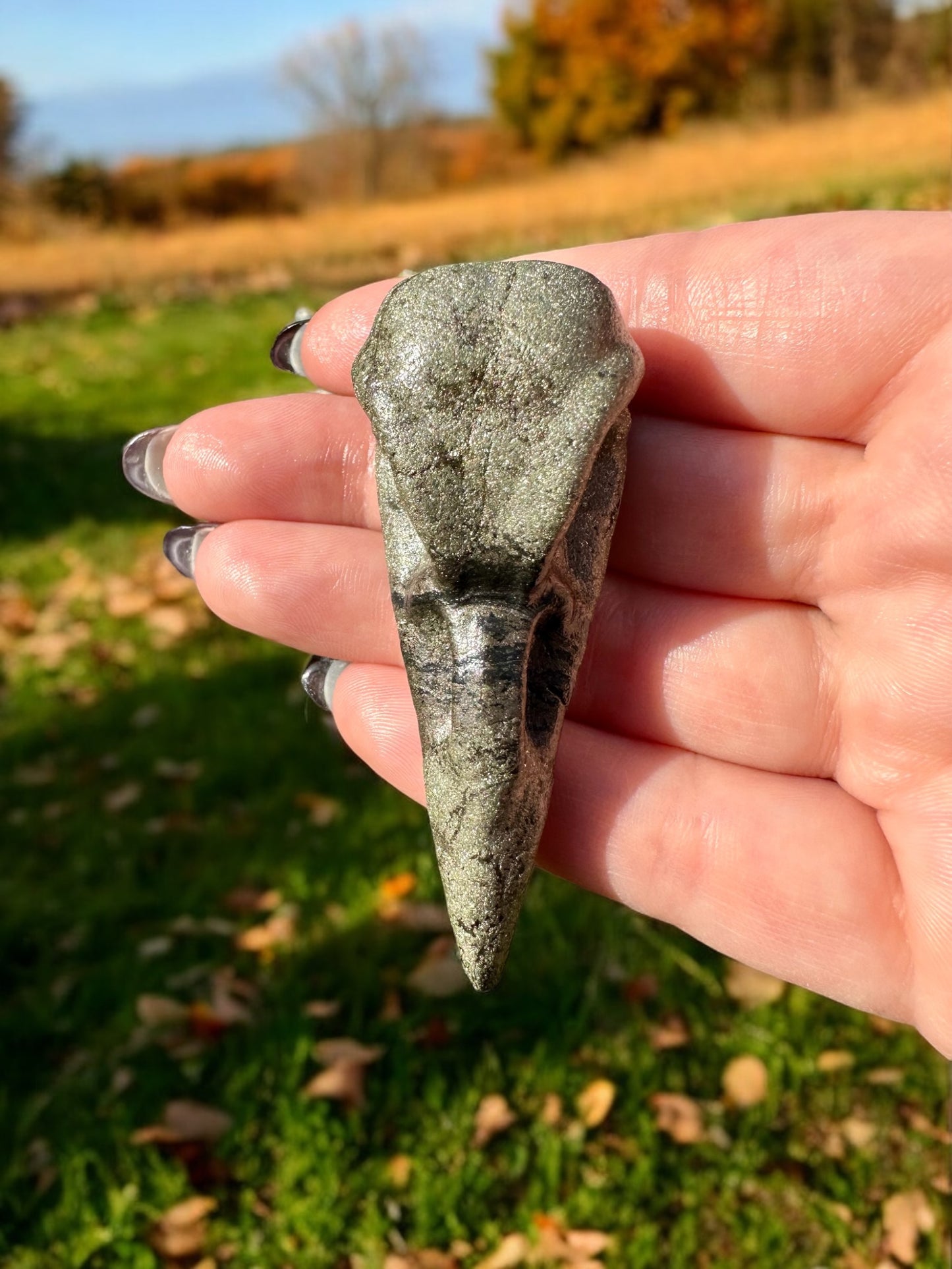 Crâne corbeau pyrite