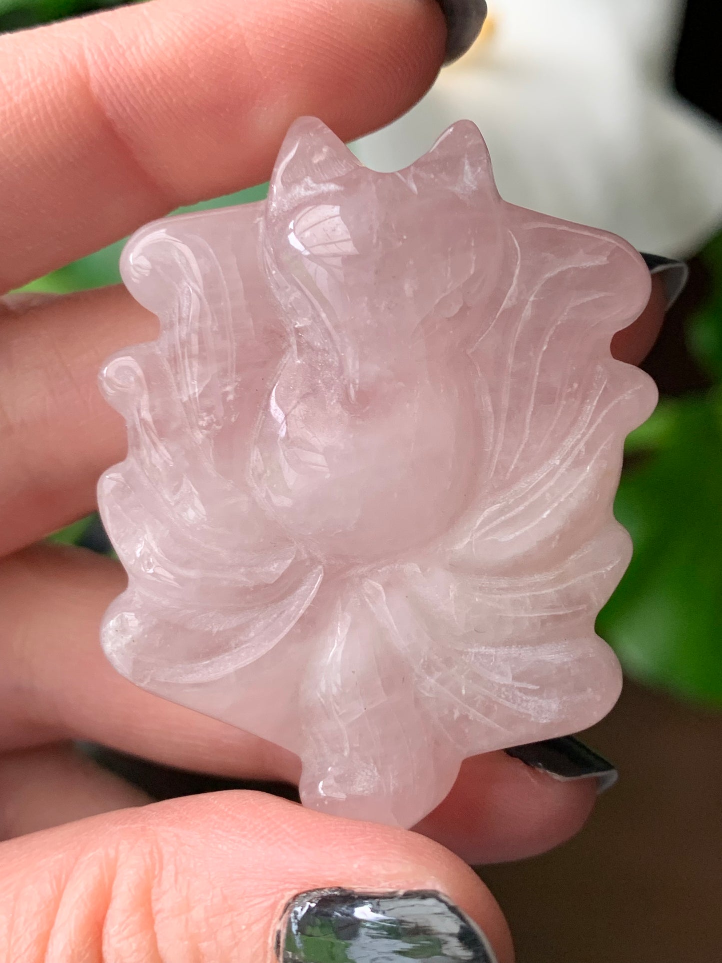 Renard quartz rose