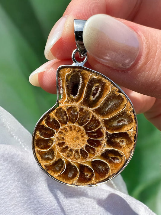 Pendentif ammonite 43
