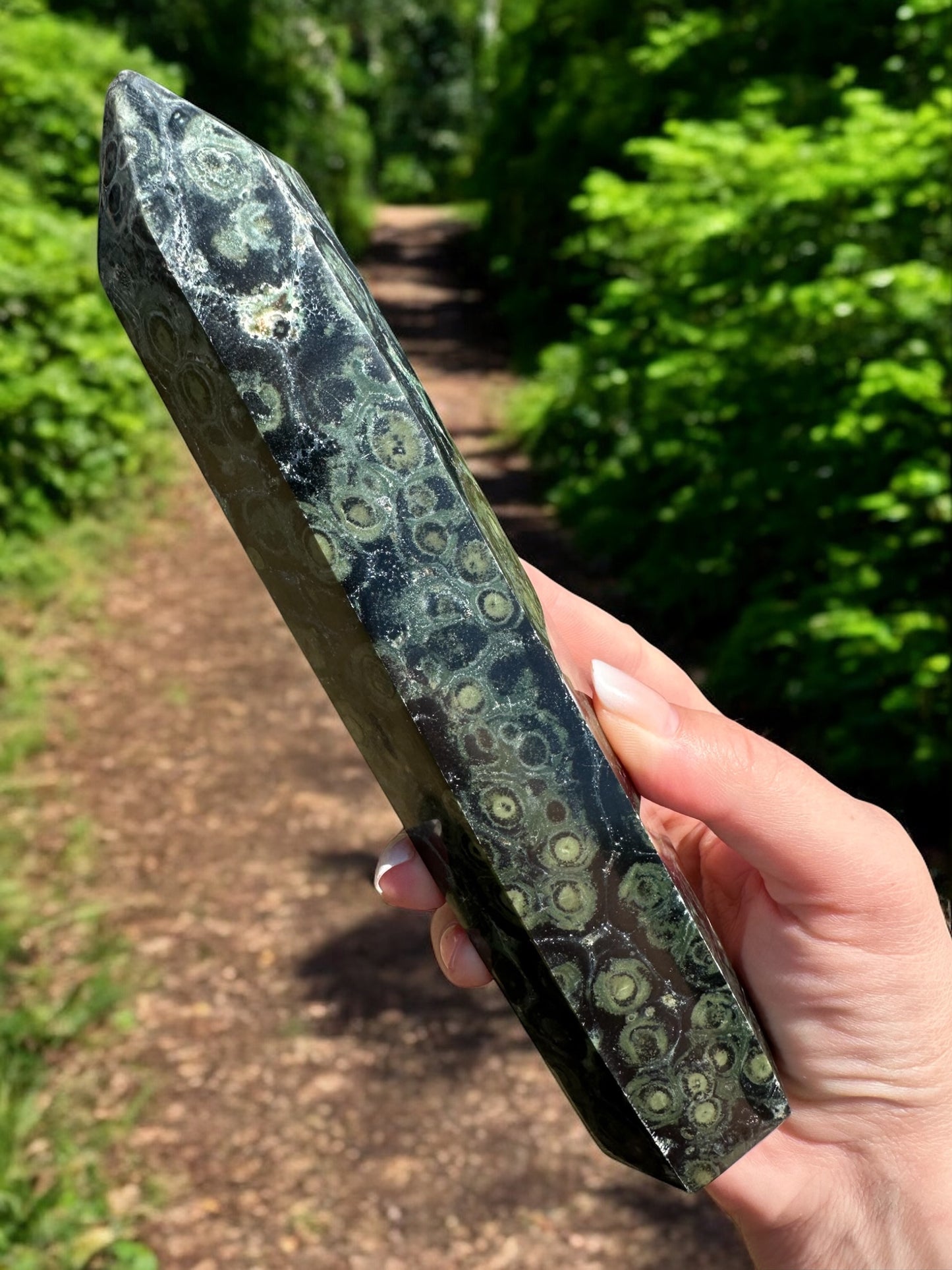 Tour pointe jaspe Kambaba