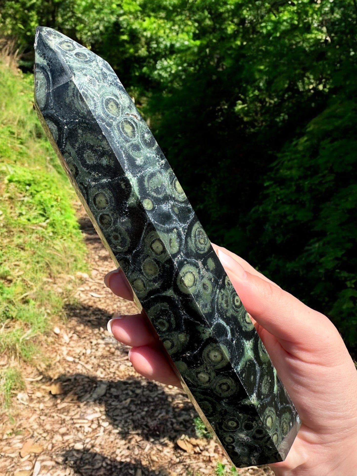 Tour pointe jaspe Kambaba