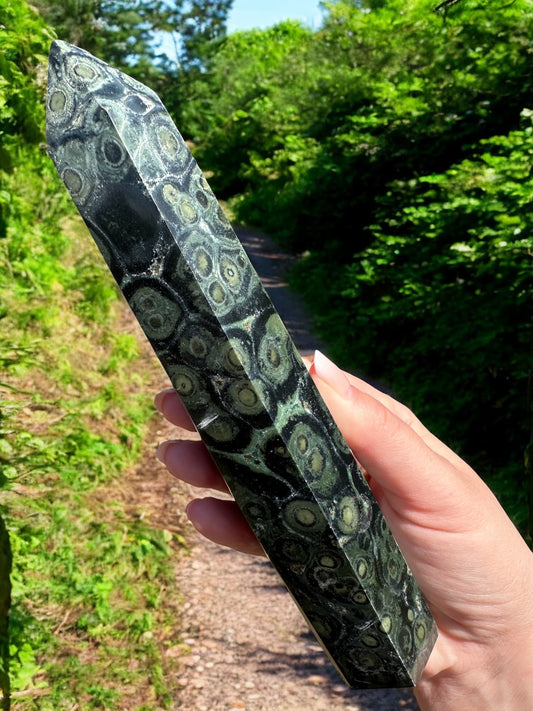 Tour pointe jaspe Kambaba