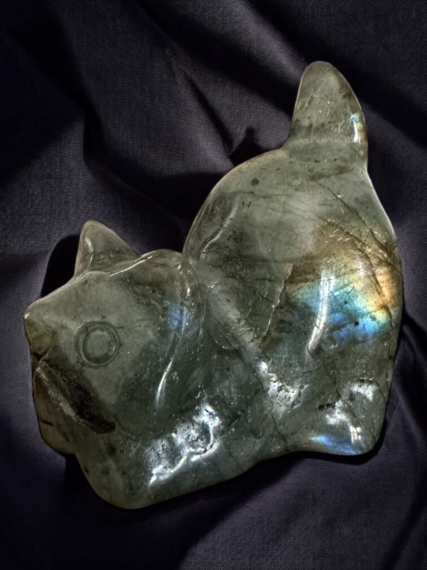 Chat labradorite